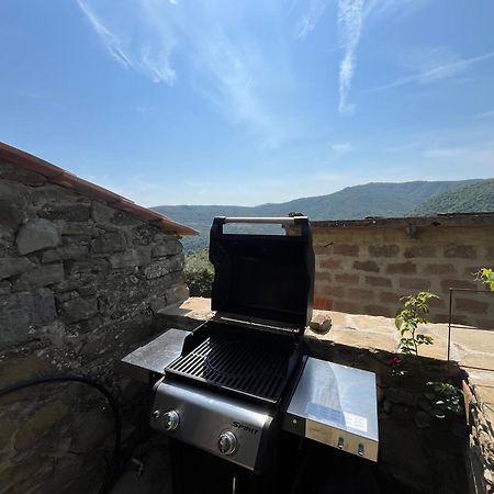 Bio Agriturismo Alba Etrusca Di Cortona - Organic Farmhouse- Appartamento Lavanda-Appartamento Rosmarino - Vasca Idromassaggio Esterna Poggioni Εξωτερικό φωτογραφία