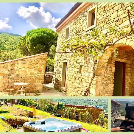 Bio Agriturismo Alba Etrusca Di Cortona - Organic Farmhouse- Appartamento Lavanda-Appartamento Rosmarino - Vasca Idromassaggio Esterna Poggioni Εξωτερικό φωτογραφία