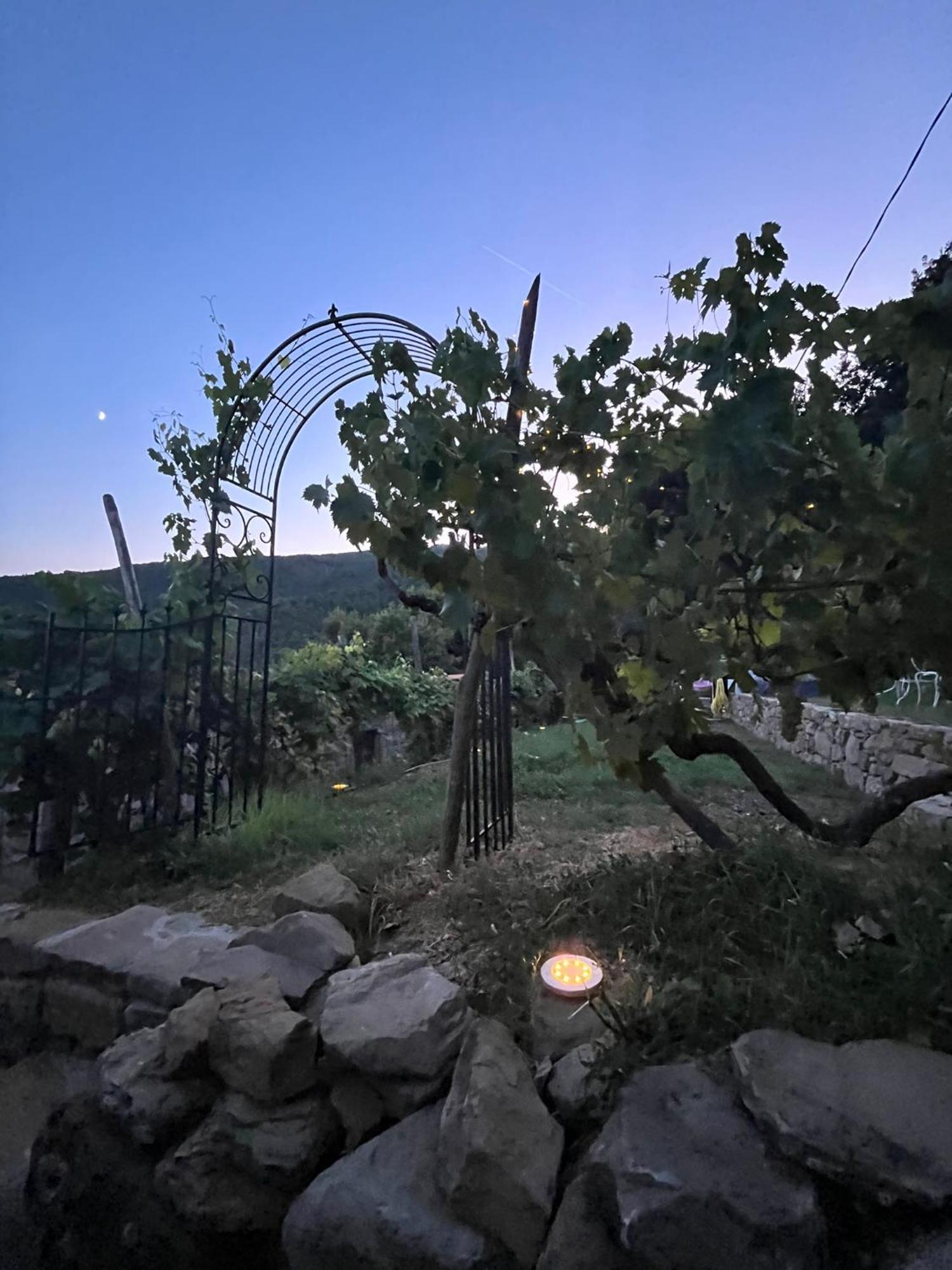 Bio Agriturismo Alba Etrusca Di Cortona - Organic Farmhouse- Appartamento Lavanda-Appartamento Rosmarino - Vasca Idromassaggio Esterna Poggioni Εξωτερικό φωτογραφία