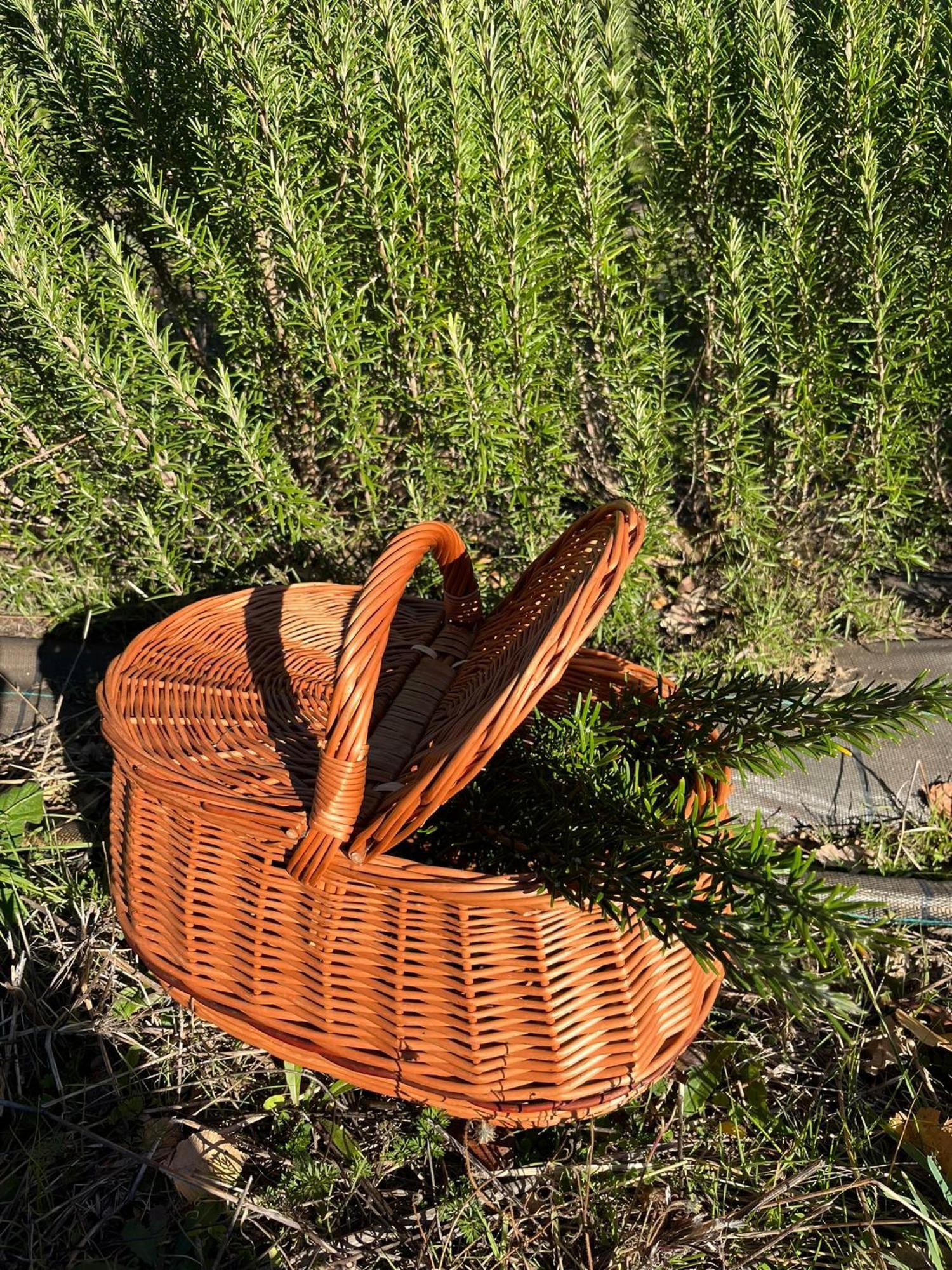 Bio Agriturismo Alba Etrusca Di Cortona - Organic Farmhouse- Appartamento Lavanda-Appartamento Rosmarino - Vasca Idromassaggio Esterna Poggioni Εξωτερικό φωτογραφία